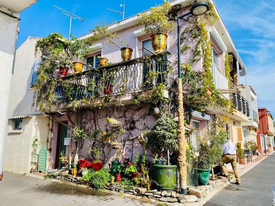 "Le Jardin" Superbe T2 Parking, Clim & Terrasse ! Apartman Sète Kültér fotó